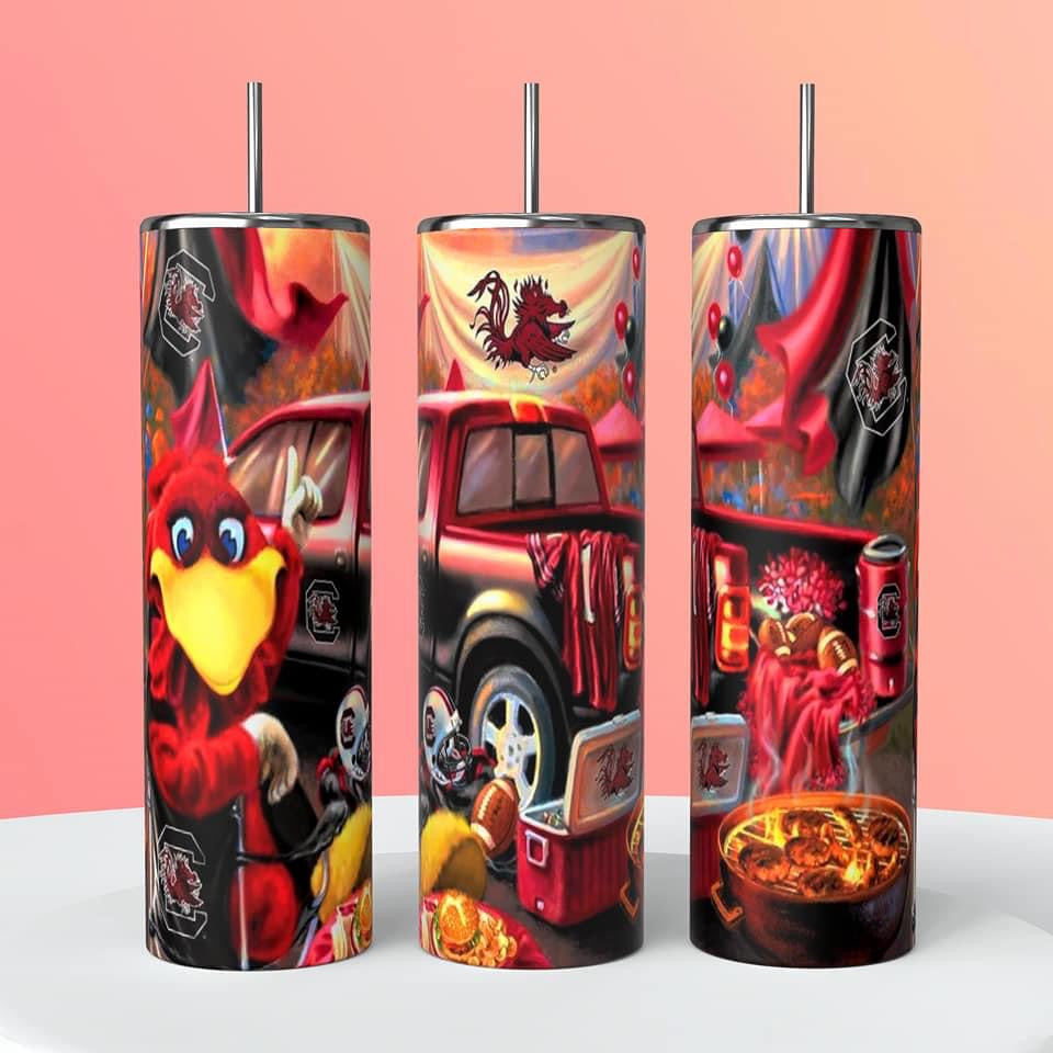 20 oz College /NFL Football Team Tumblers